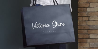 Honilley Font Poster 5