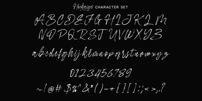 Hockaige Font Poster 12