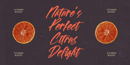 Spotnight Balmonte Font Poster 8