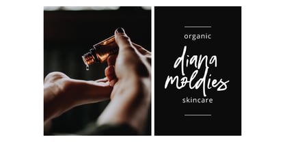 Diravest Signature Brush Font Poster 9
