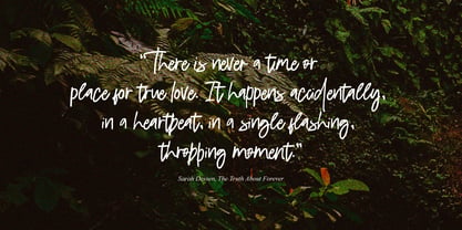 Diravest Signature Brush Font Poster 3