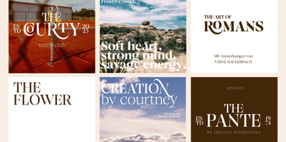 Browne de Calvin Font Poster 15