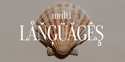 Nocturnal Sunset Font Poster 13