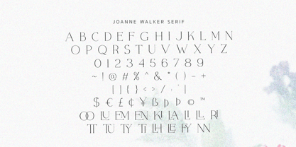 Joanne Smith Font Poster 8