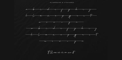 Lanterosy Font Poster 9