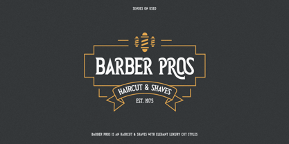 Sendes Font Poster 10