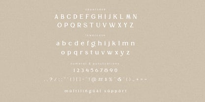 La De Chane Font Poster 8