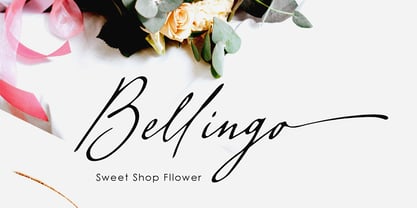 Kovino Font Poster 7