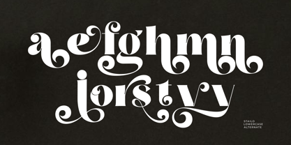 Stailo Font Poster 10