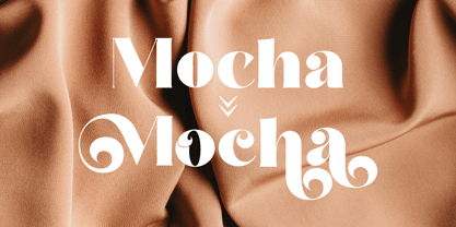 Stailo Font Poster 6