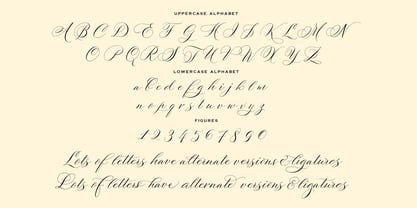 Marquise Font Poster 5