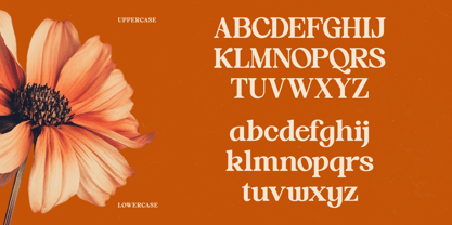 Hot Caramel Delight Font Poster 14