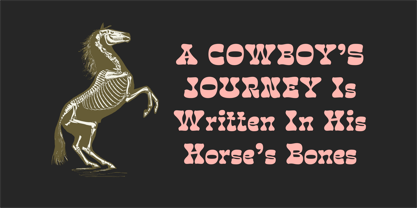 Neophit Font Poster 5