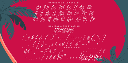 Palm Vibes Font Poster 14