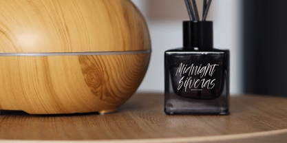 Palm Vibes Font Poster 3