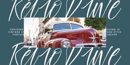 Palm Vibes Font Poster 11