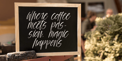 Palm Vibes Font Poster 7