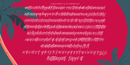 Palm Vibes Font Poster 15