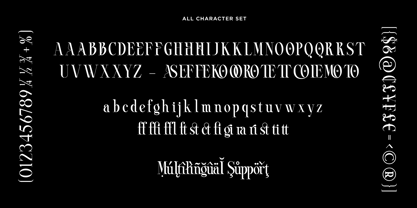 Romofer Font Poster 11