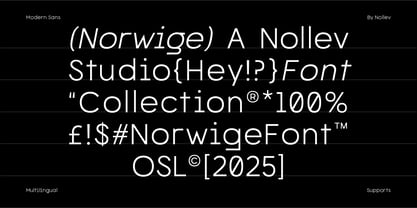 Norwige Font Poster 5