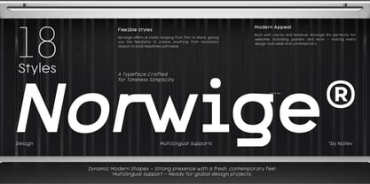 Norwige Font Poster 11