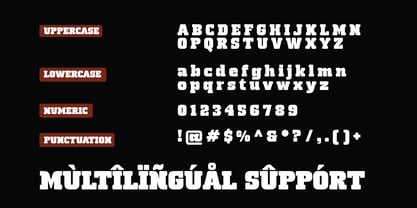 Bachote Font Poster 7