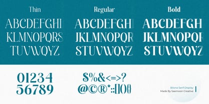 Bilona Font Poster 9