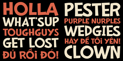 Cousin Font Poster 5