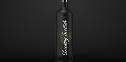 Romance Delighter Font Poster 3