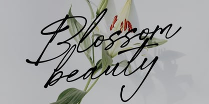 Whispered Trails Font Poster 7