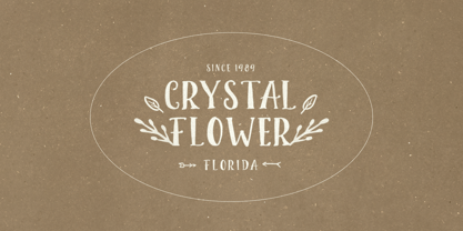 Foliage Story Font Poster 11