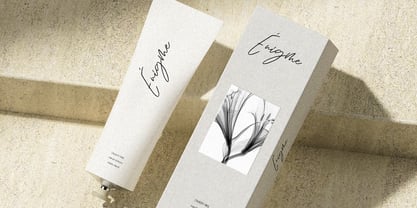 Sunday light Font Poster 6