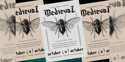 Sinevas Font Poster 13