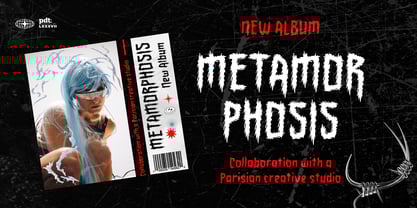 Rogback Font Poster 8