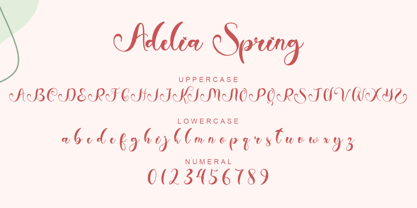 Adelia Spring Font Poster 5