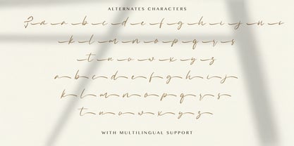 Allezia Sttacy Font Poster 8