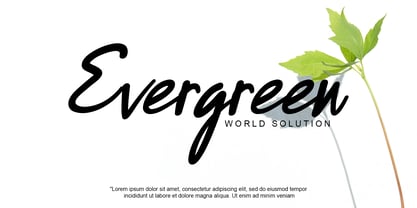 Morenda Font Poster 2