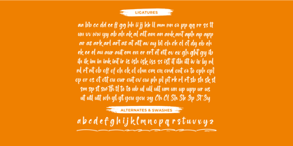 Interest Explore Font Poster 15