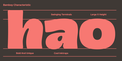 Bamboy Font Poster 4