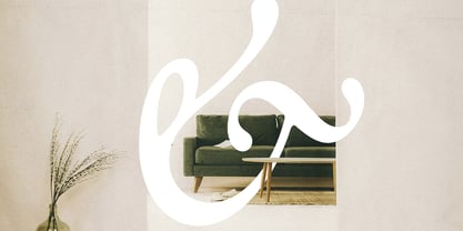 The Picnic Club Font Poster 11