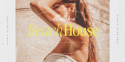 The Picnic Club Font Poster 10