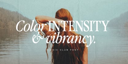 The Picnic Club Font Poster 13