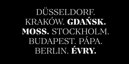 Manier Font Poster 14