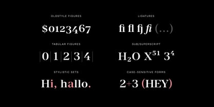 Manier Font Poster 15