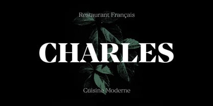 Manier Font Poster 13