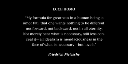 Manier Font Poster 7