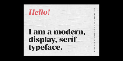 Manier Font Poster 2