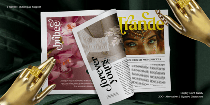 Bolight Font Poster 5