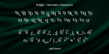 Bolight Font Poster 13