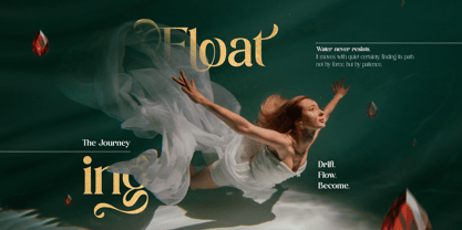 Bolight Font Poster 11